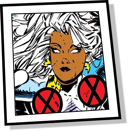 storm panel