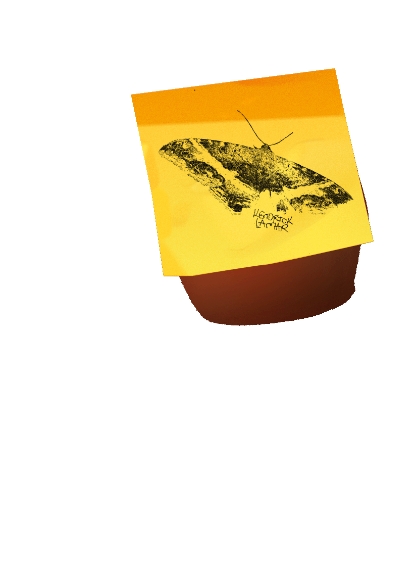 butterfly sticky note